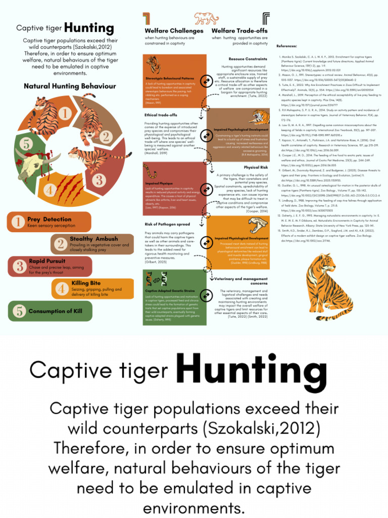 Tiger Info Graphic | PDF