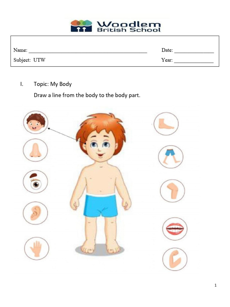 Fs2 Science Term 1 Revision | PDF