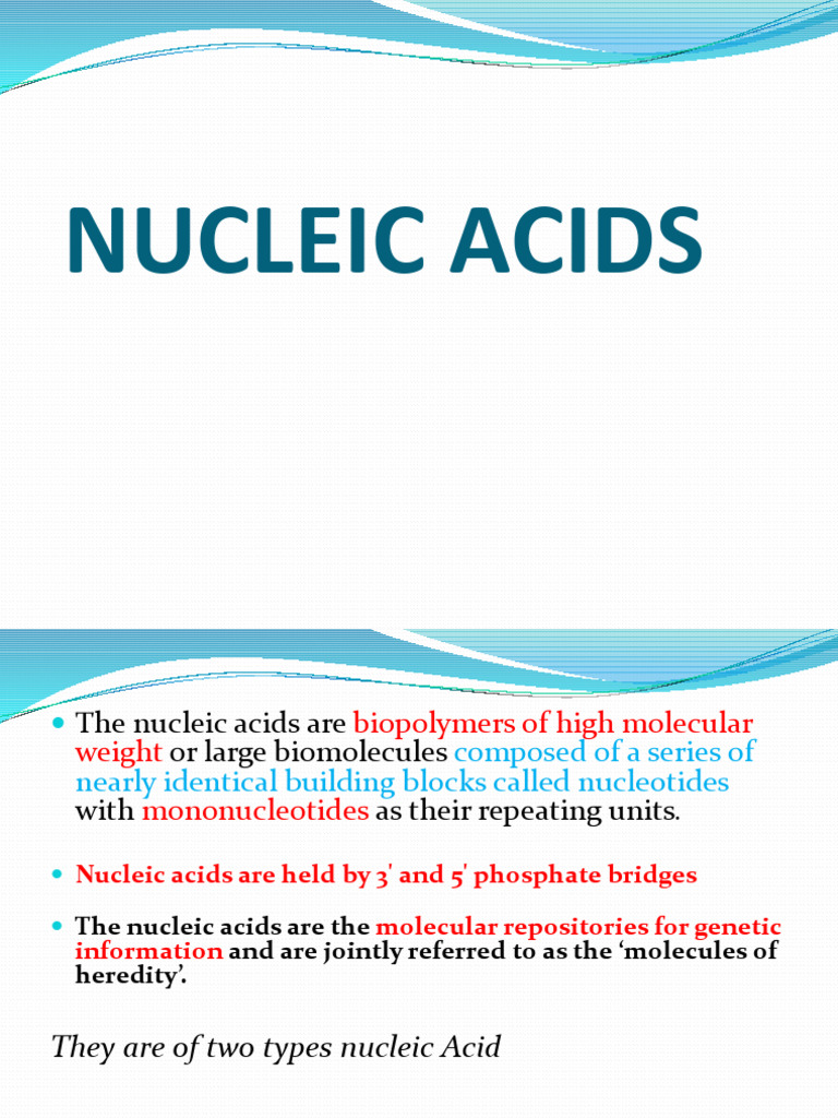 NUCLEIC ACIDS and Nitrogenous bases | PDF | Nucleotides | Dna