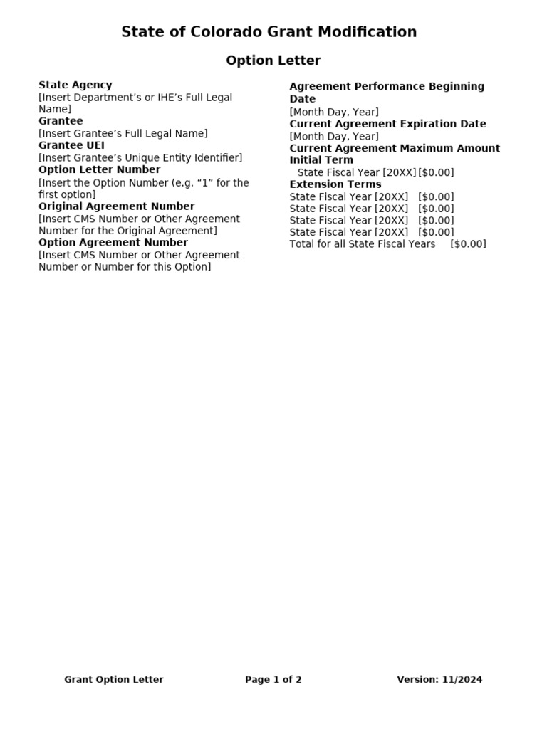 Grant Option Letter V1 2025_05 Accessible (BIT Remediated) 2 | PDF ...