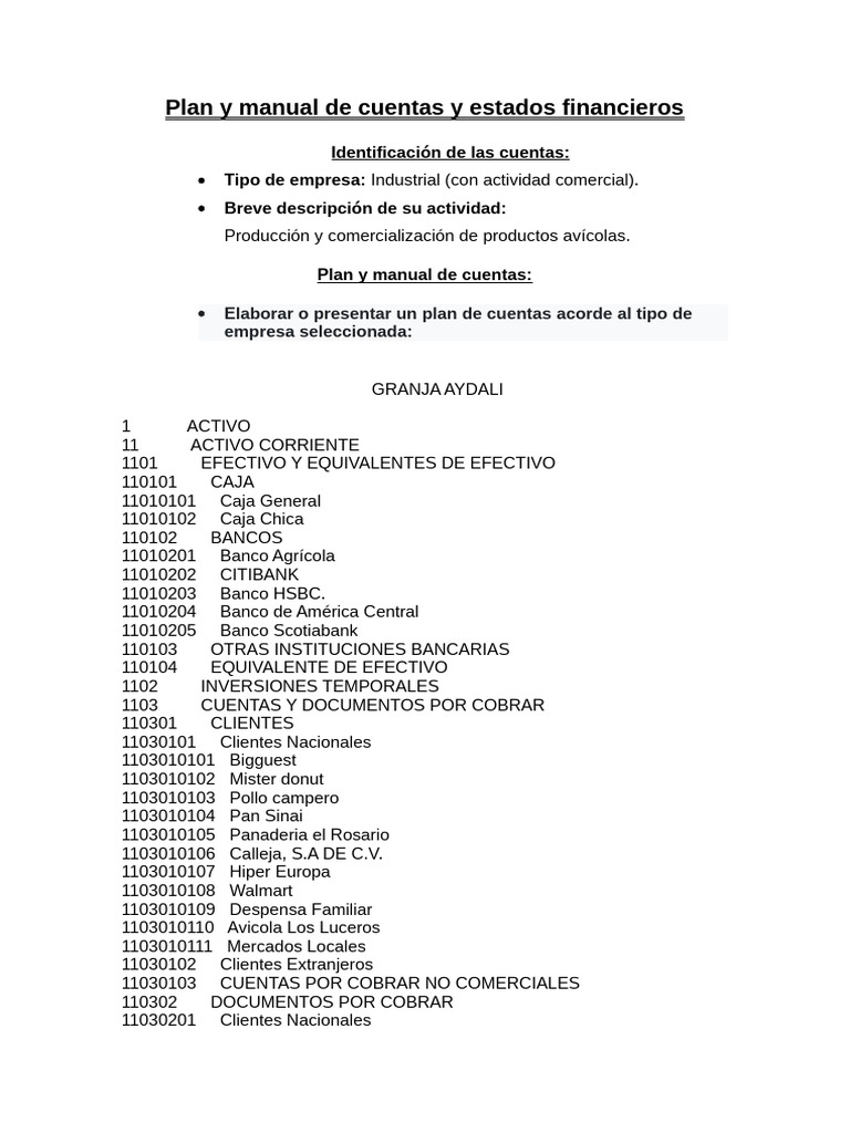 Plan y Manual de Cuentas y Estados Financieros (1) | PDF | Bancos ...