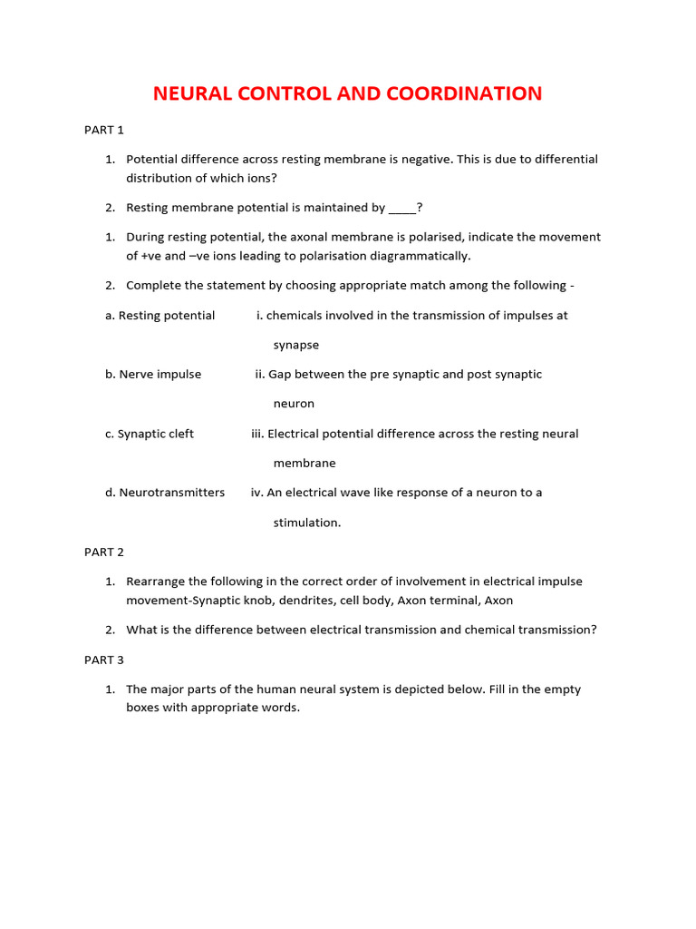 Neural Control and Coordination | PDF