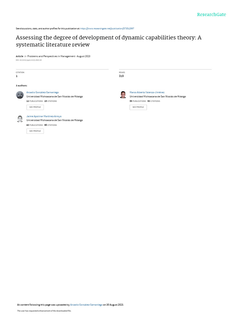 Assessing The Degree of Development of Dynamic Capabilities Theory: A ...