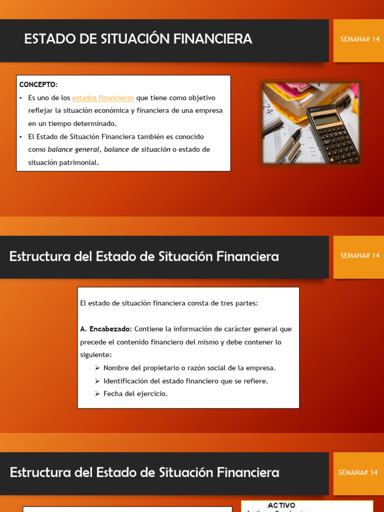 Estado de Sit. Financiera | PDF | Hoja de balance | Estado financiero
