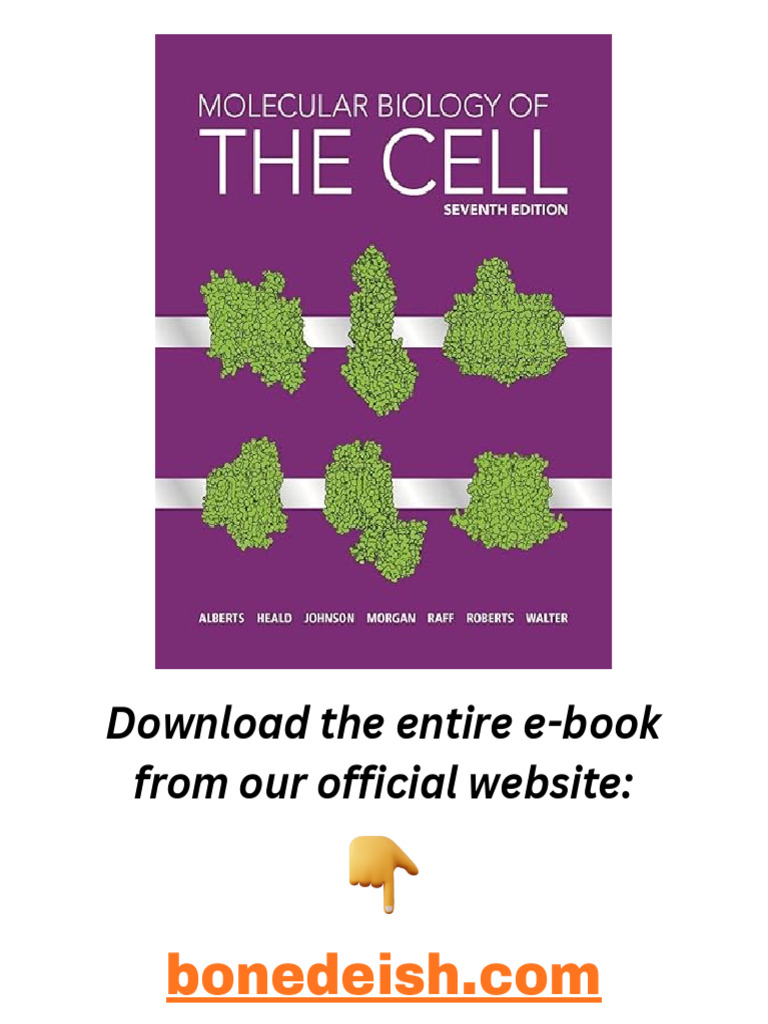 Molecular Biology of The Cell Seventh Edition | PDF