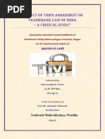 Download My Dissertation on Impactof TRIPS Agreement on Trademarklawin India by srvrushali SN99001894 doc pdf
