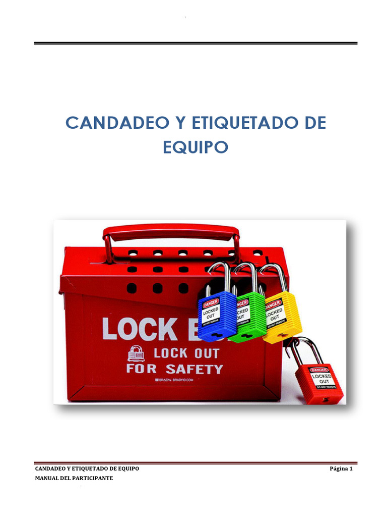 Manual de Candadeo y Etiquetado de Equipo | PDF | Electrónica