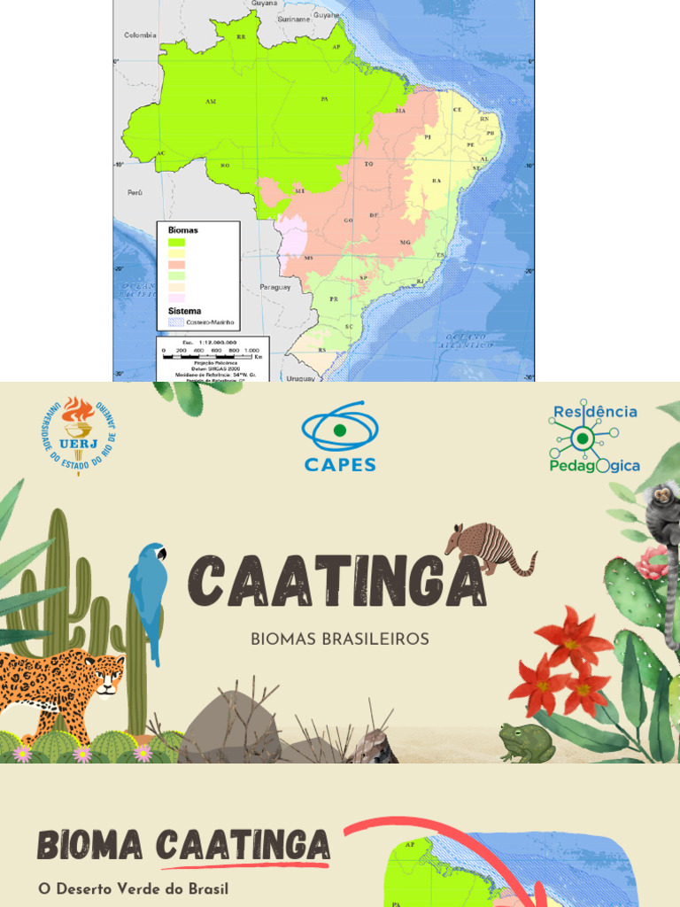 Bioma Caatinga | PDF | Chuva | Seca