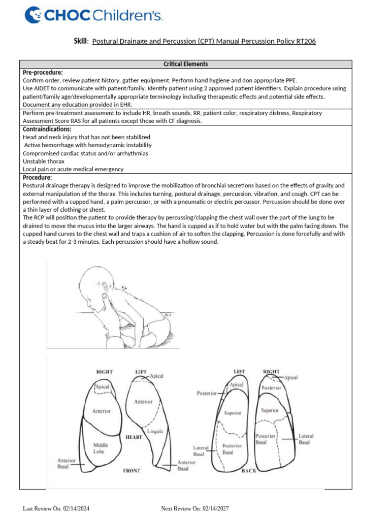 Cpt Policy Rt 206 | PDF | Thorax | Respiratory Tract