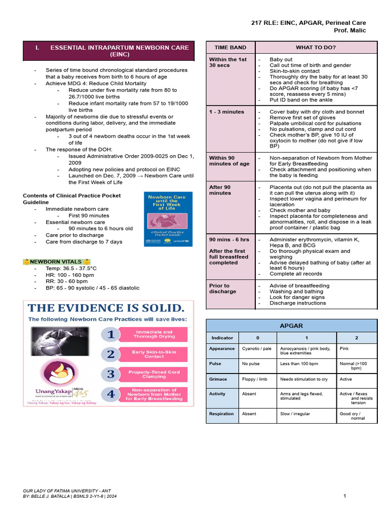 Rle 217 - Einc | PDF | Breastfeeding | Infants