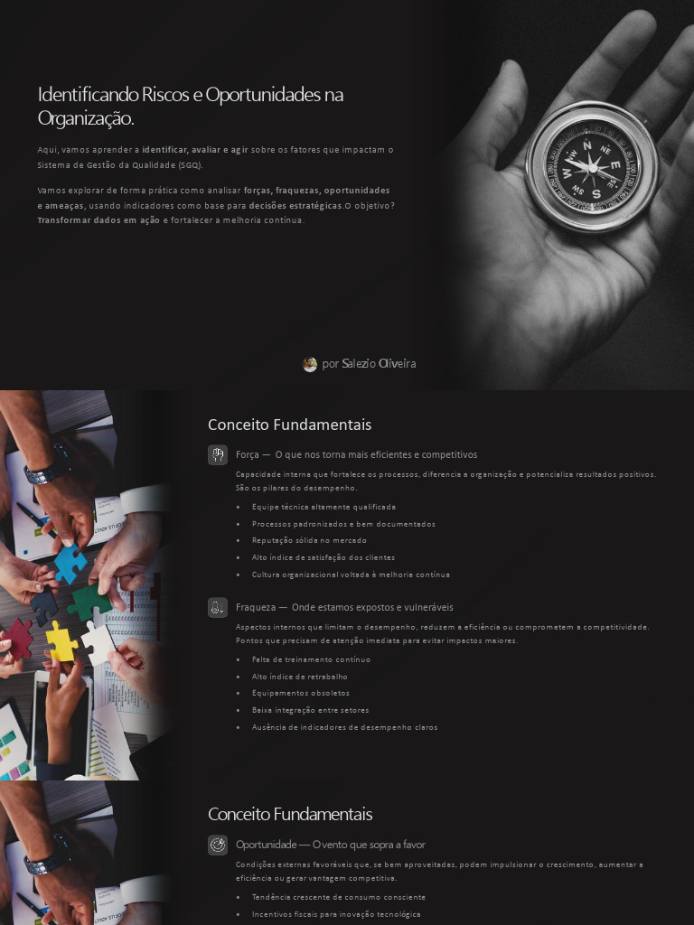Treinamento em Analises de Riscos e Oportunidades | PDF | Comentários ...