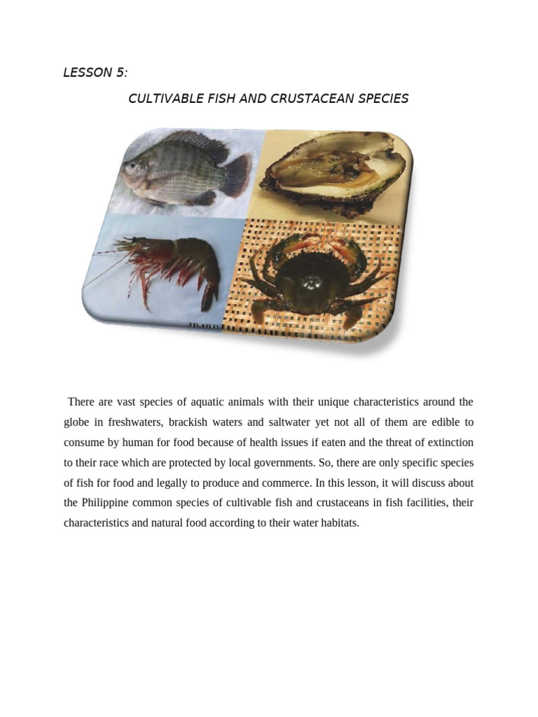 LESSON 5 Fish Species | PDF