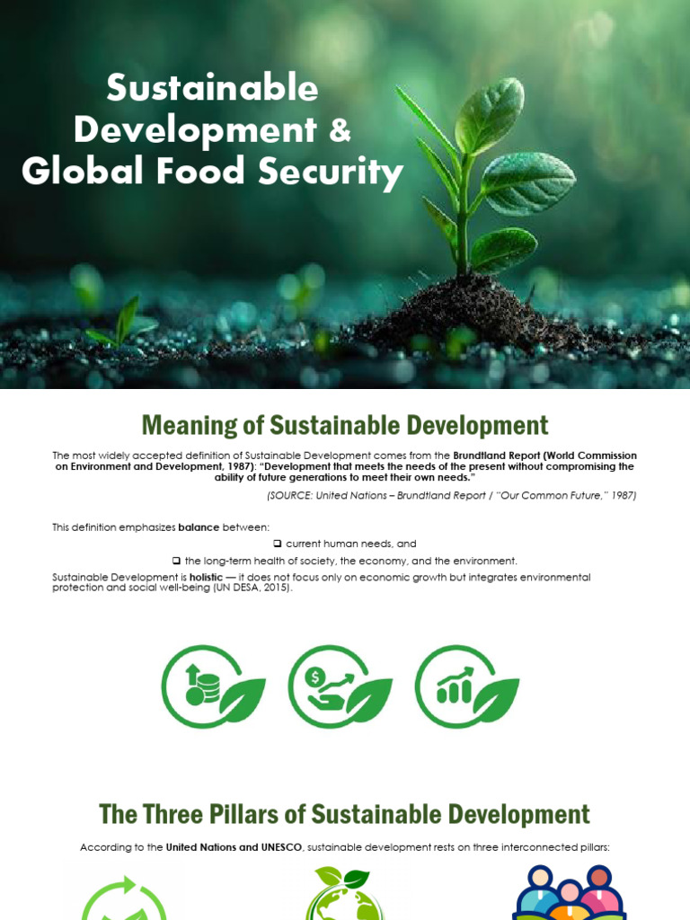 Sustainable Development Global Food Security | PDF | Food Security ...