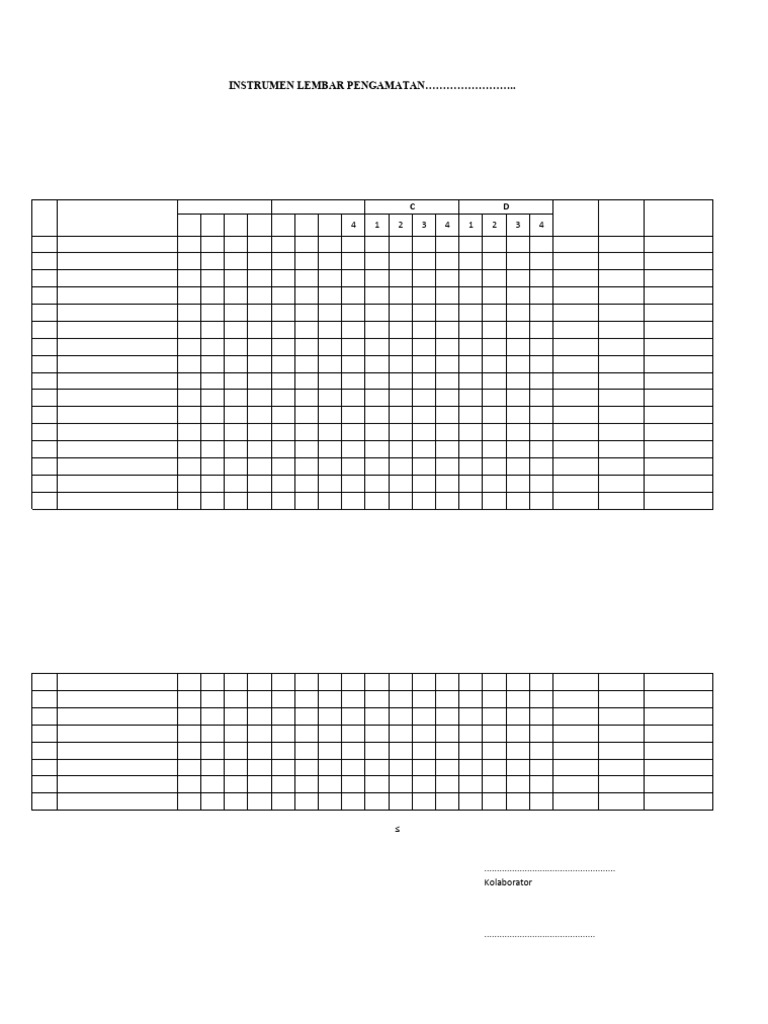 00 Instrumen Observasi | PDF