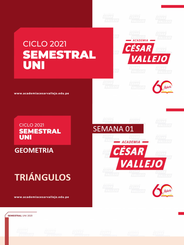 Geometría Sem 1 | PDF | Triángulo | Ángulo