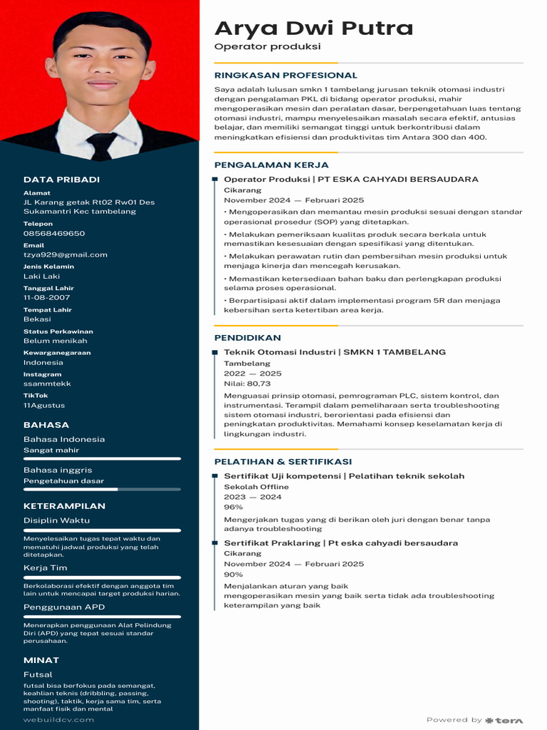 CV Arya 4 | PDF