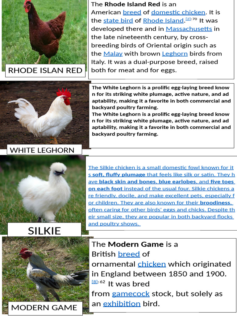 Chicken | PDF