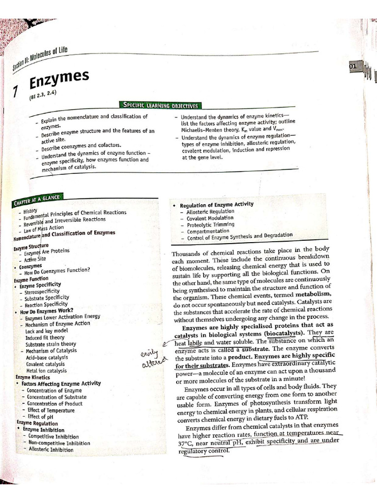 Biochemistry Enzymes Chapter Notes From MD Rafi Textbook | PDF