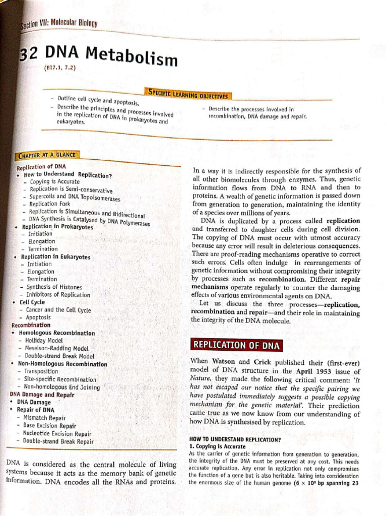 Biochemistry DNA Metabolism Chapter Notes From MD Rafi | PDF