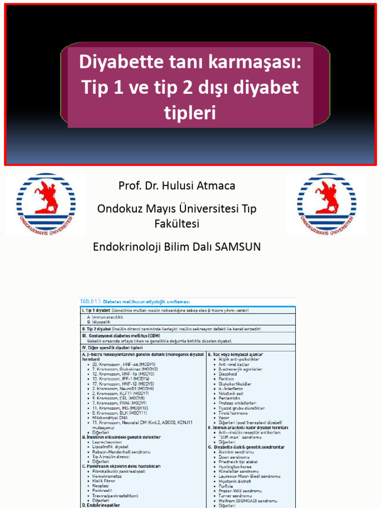 Hulusi Atmaca | PDF