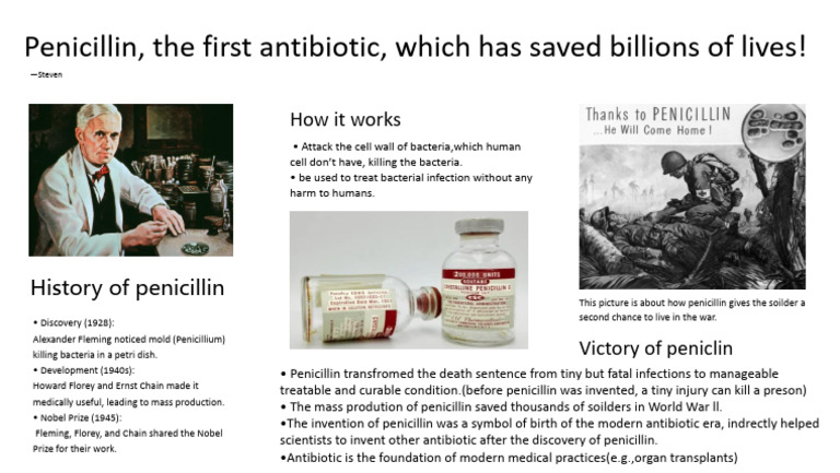 Penicillin From Steven | PDF