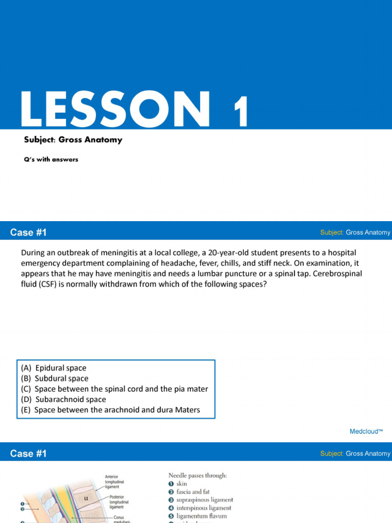 Cases Lesson 1 | PDF