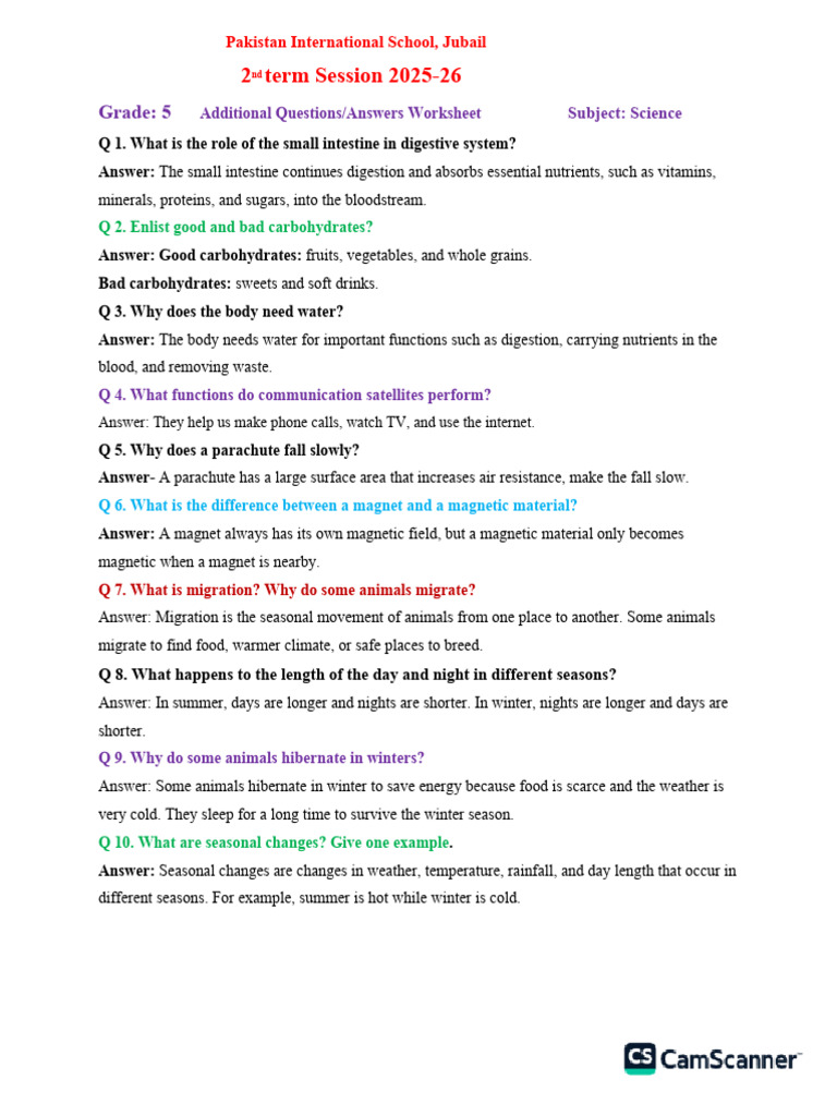 Grade 5 Work Sheet For Questions | PDF