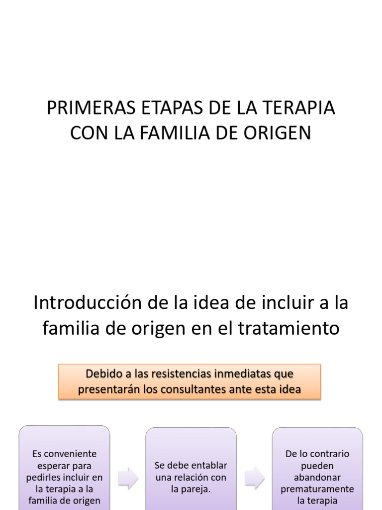 Primeras Etapas de La Terapia Con La Familia | PDF | Esposa