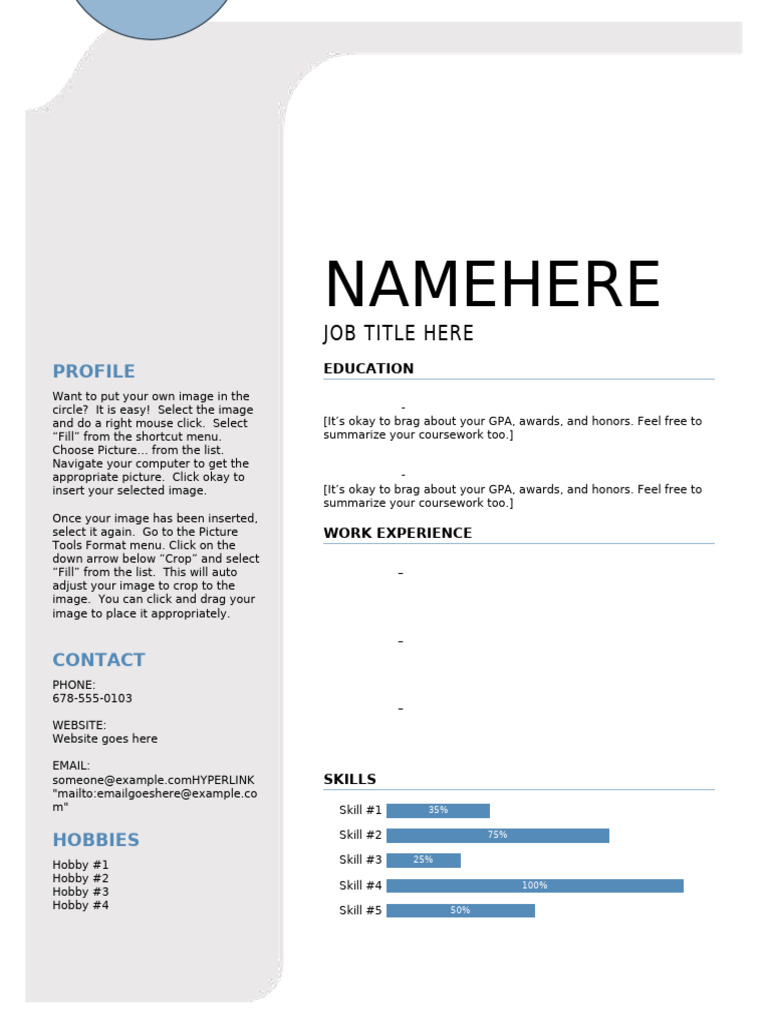 CV Template | PDF