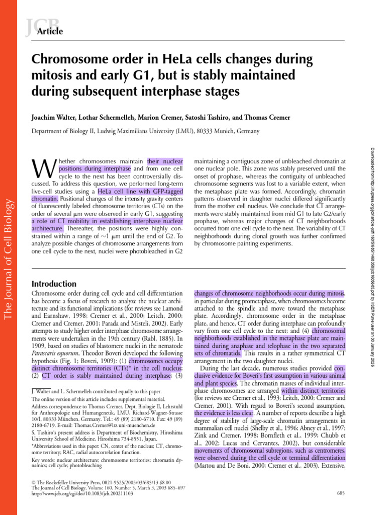 Walter Et. Al., Maintaining Chromosome Order in Interphase | PDF ...