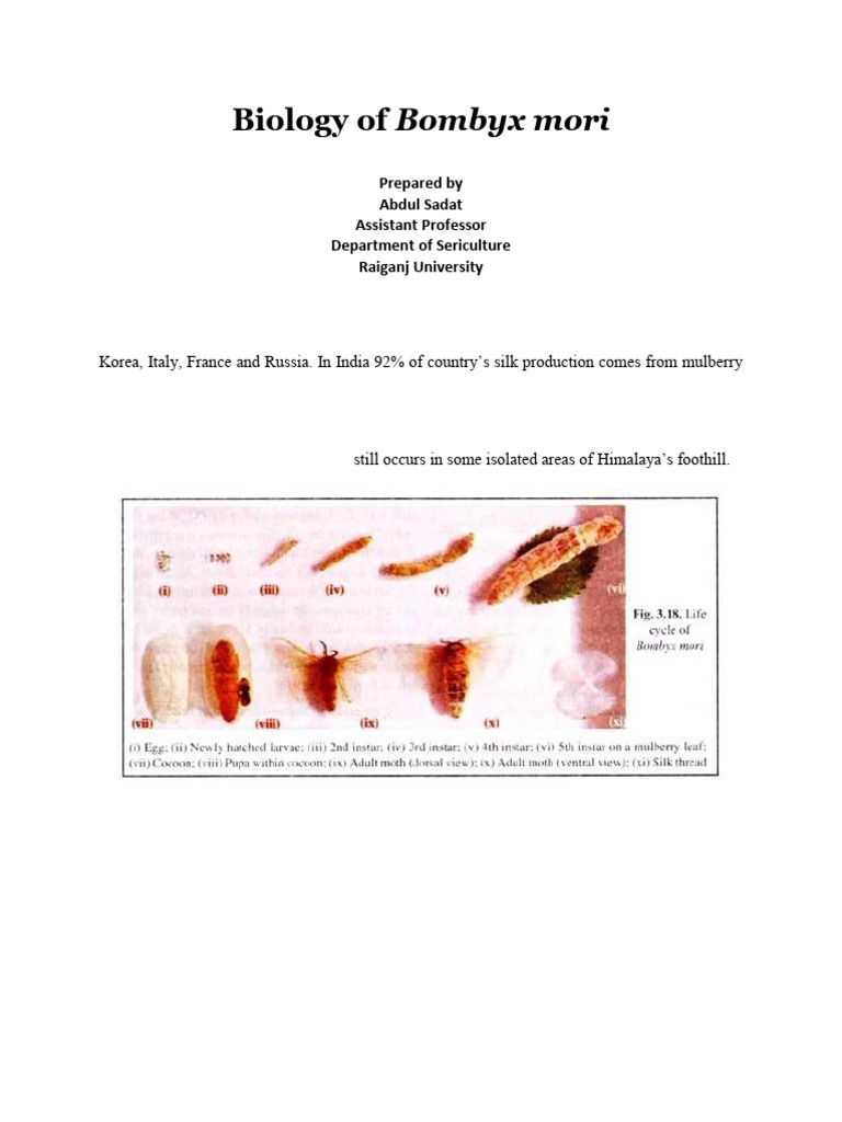 Biology of Bombyx Mori | PDF | Pupa | Insects