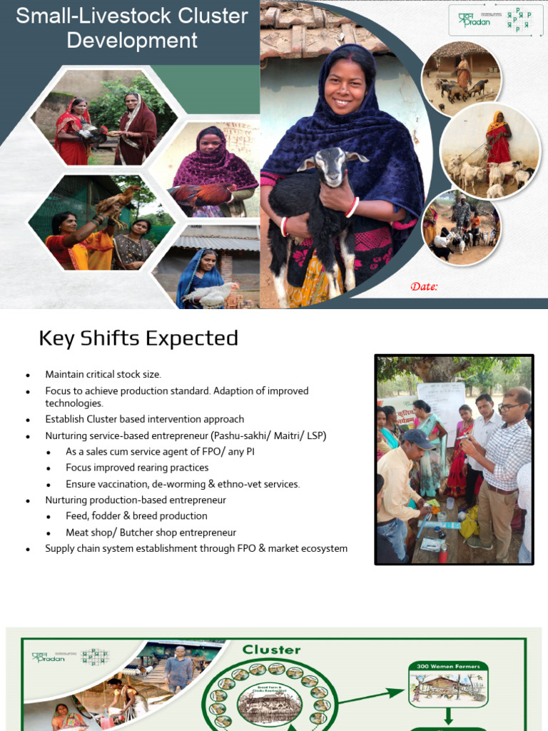 Livestock Cluster Development- Strategy Meeting - Final.pptx | PDF ...