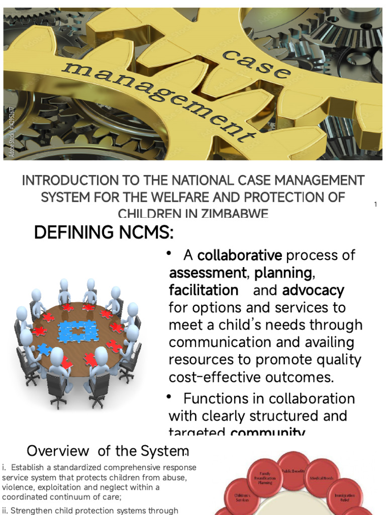National Case Management System Presentation | PDF | Child Protection ...
