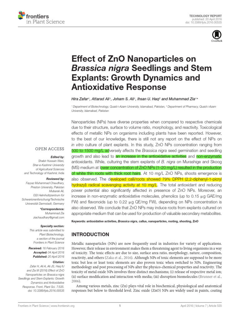 Effect of ZnO Nanoparticles On Brassica Nigra Seed | PDF | Zinc Oxide ...