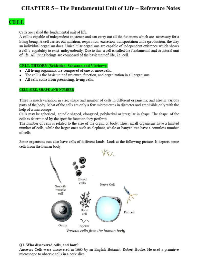 CH 5 - The Fundamental Unit of Life - Reference Notes | PDF ...