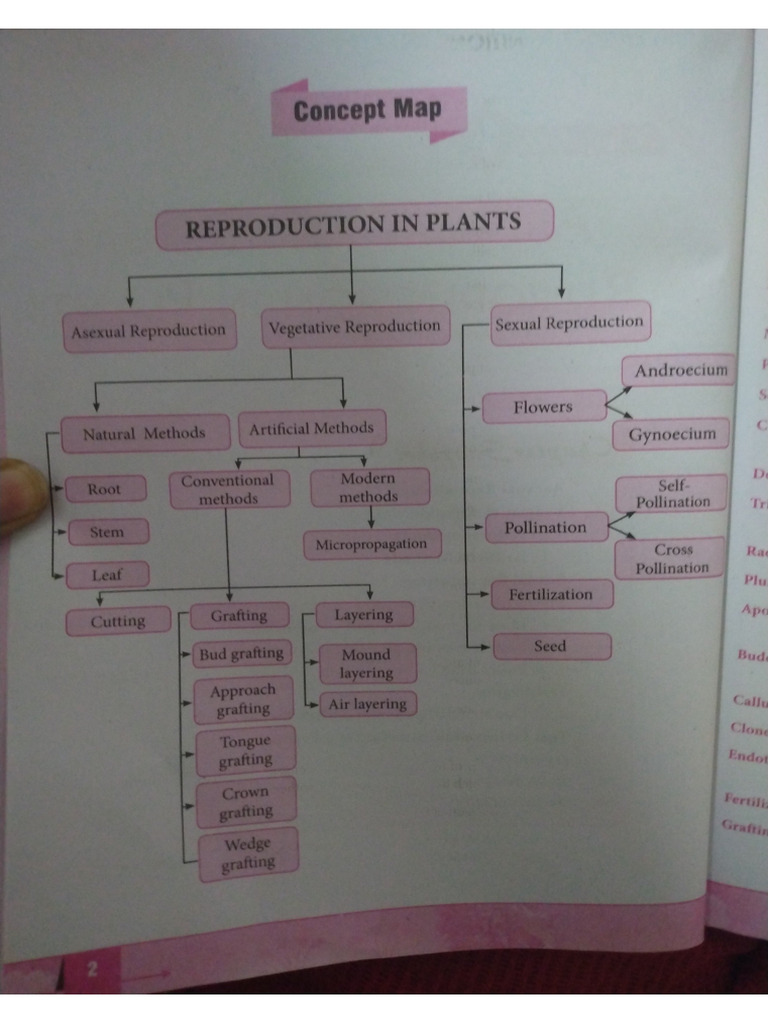 Biology Chapter 1 Notes | PDF