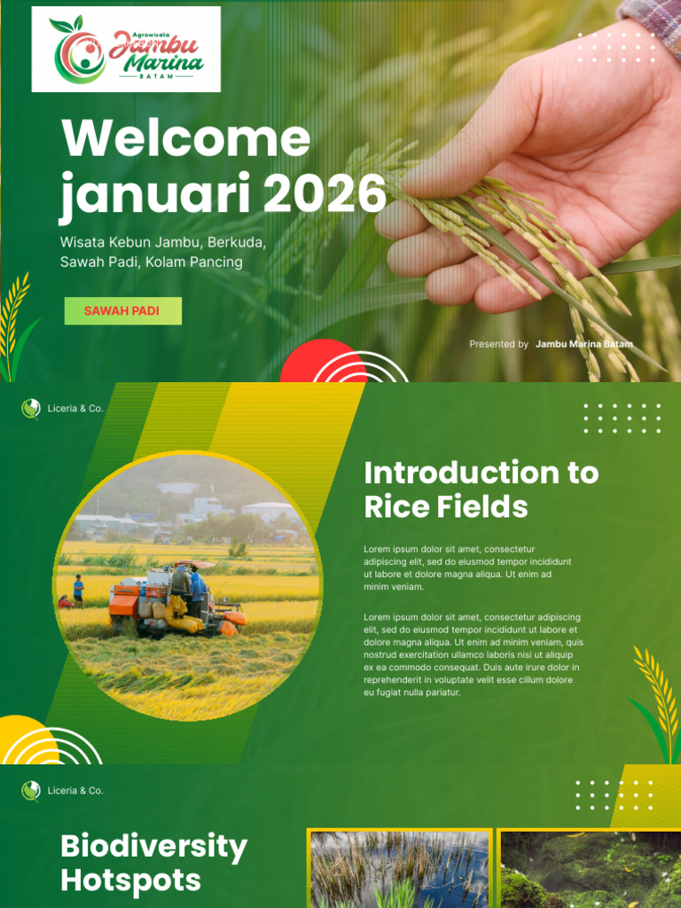Green and Yellow Gradient Modern Rice Field Ecosystems Presentation ...