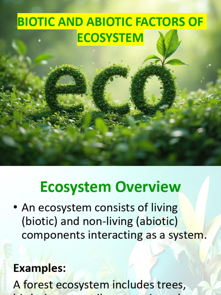 Ecosystem and Environmental Factors VBBAYONITO | PDF | Ecosystem ...