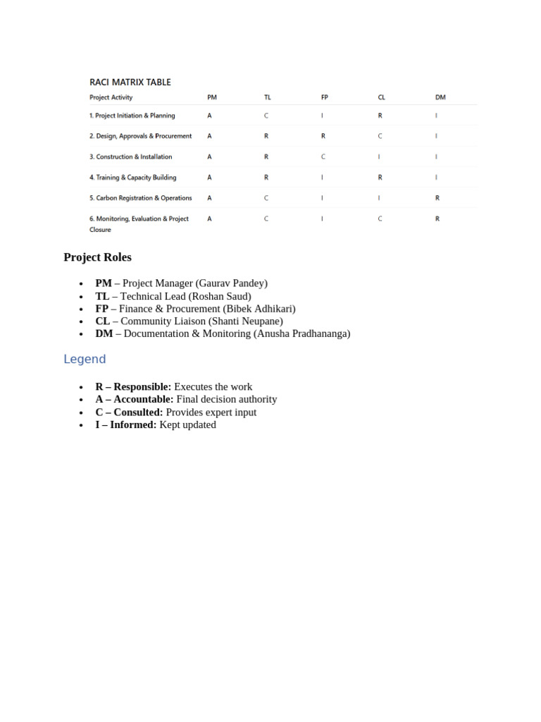 Raci Matrix PM | PDF