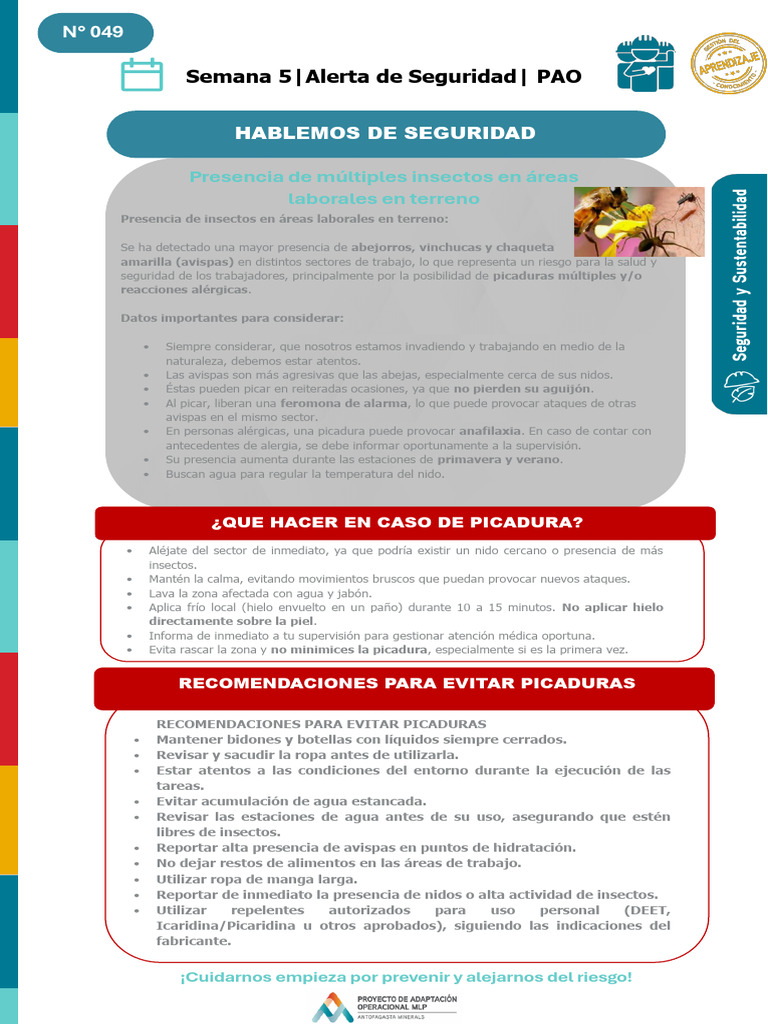 Alerta de seguridad PAO N°049_Semana 05 | PDF | Avispa | Alergia