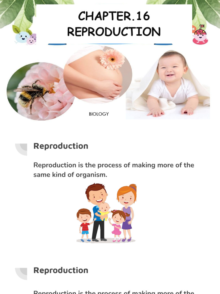 #1 BIO-Chapter (16.1-3) Reproduction in Plants Student - pptx-1 | PDF ...
