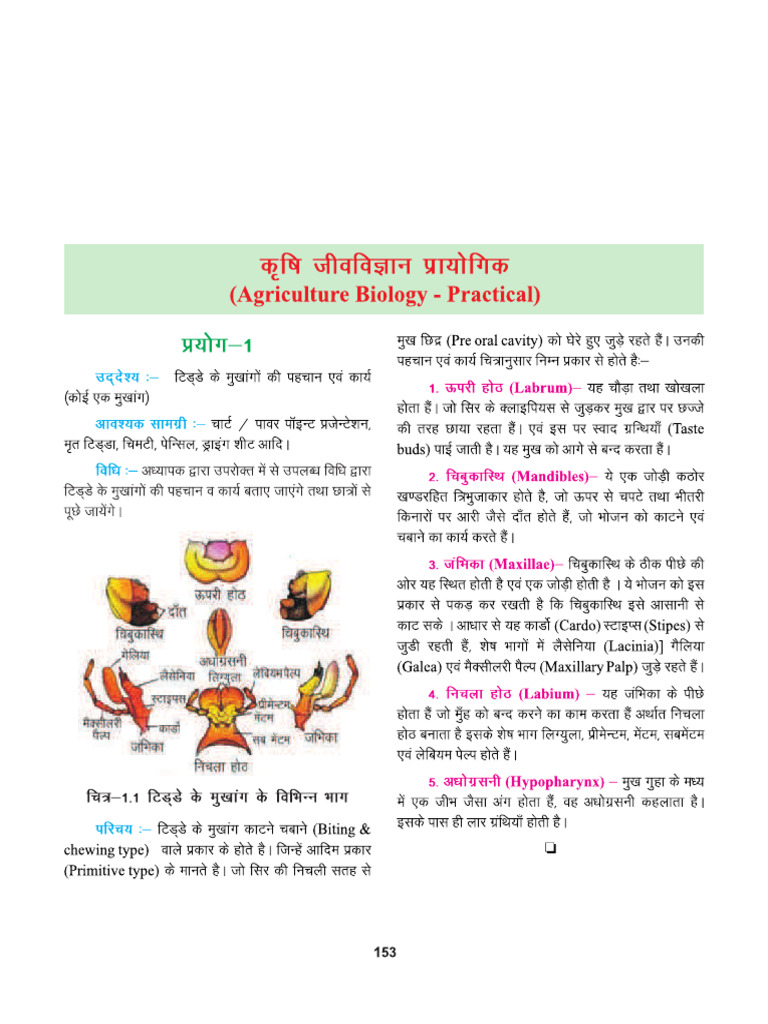 Selfstudys Com File (10) | PDF