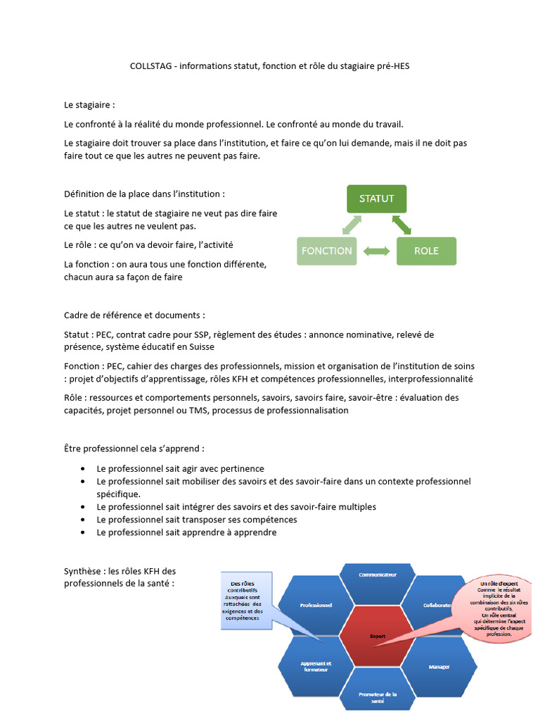 Colstag Résumé | PDF | Apprentissage | Savoir-être