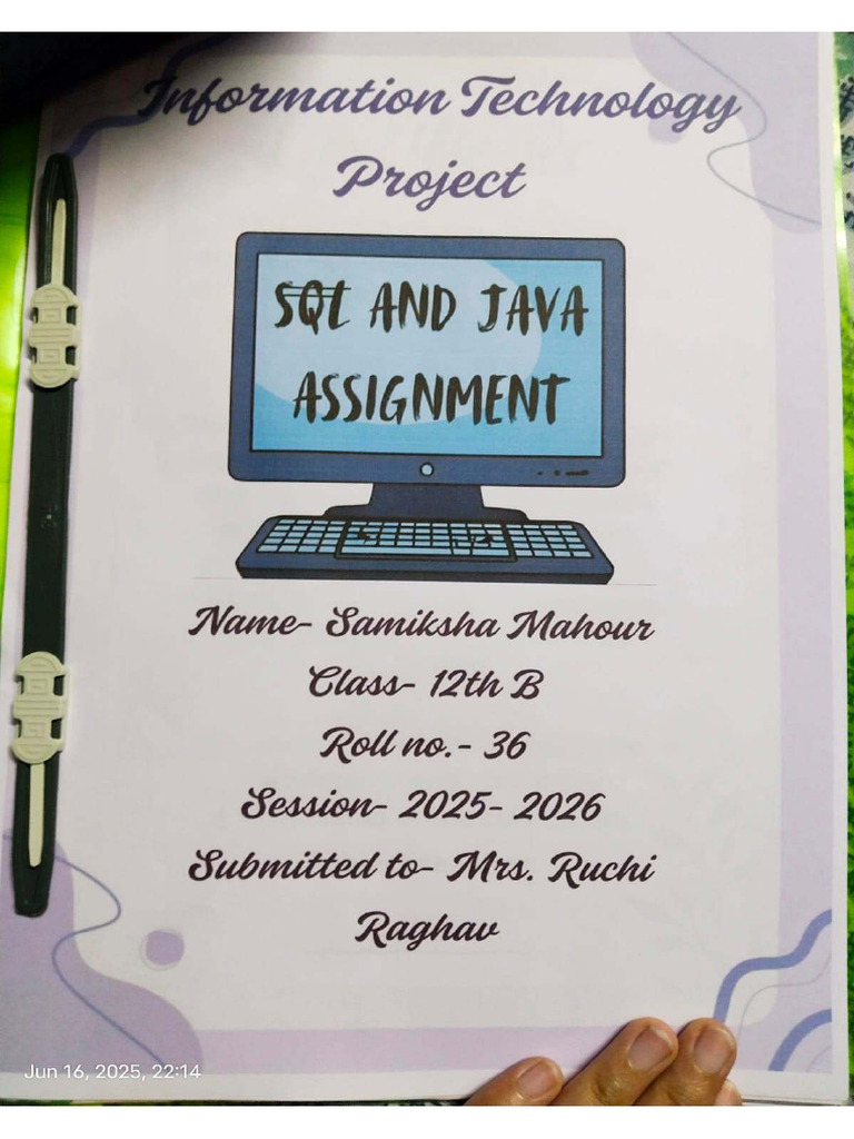 Information Technology Practical File Class 12 | PDF