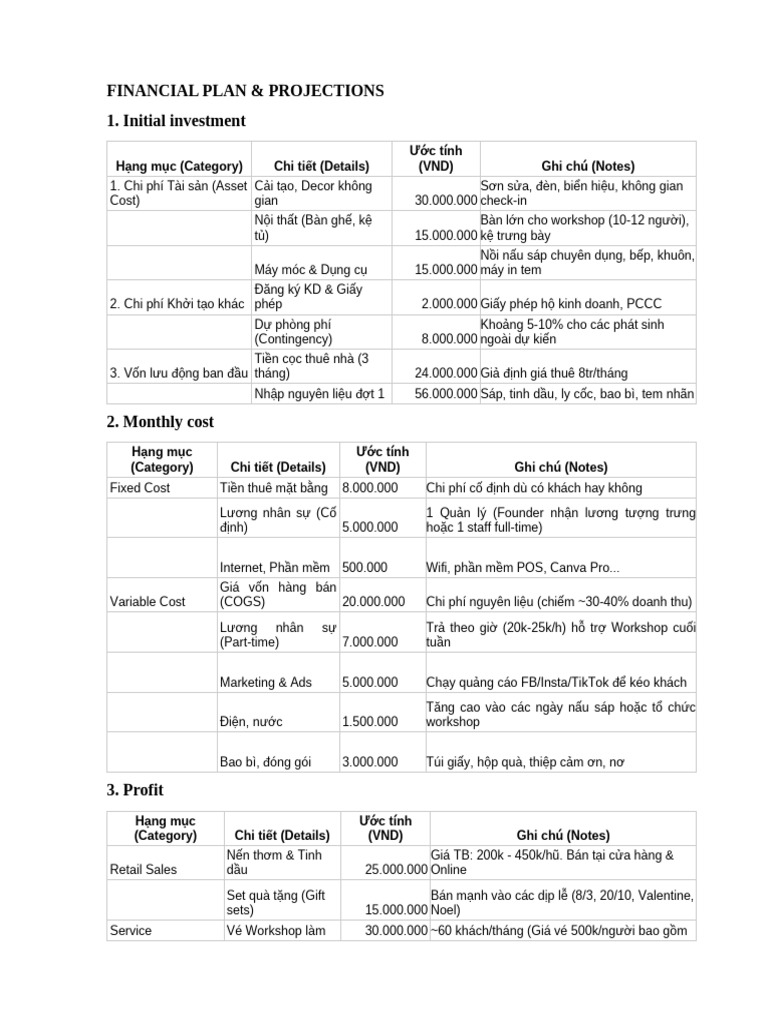 Financial Plan | PDF