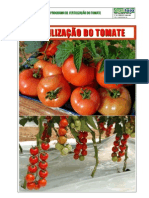 Fertilização Do Tomate