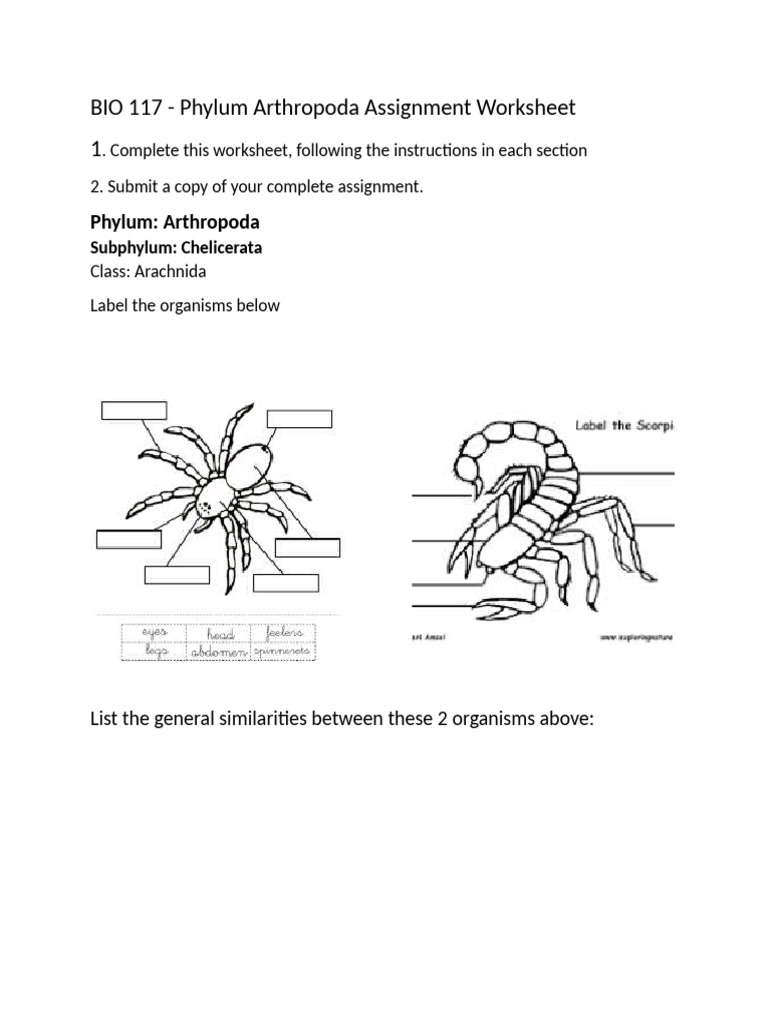 BIO 117 MODULE 6 Lab Arthropoda | PDF | Paleozoic First Appearances ...