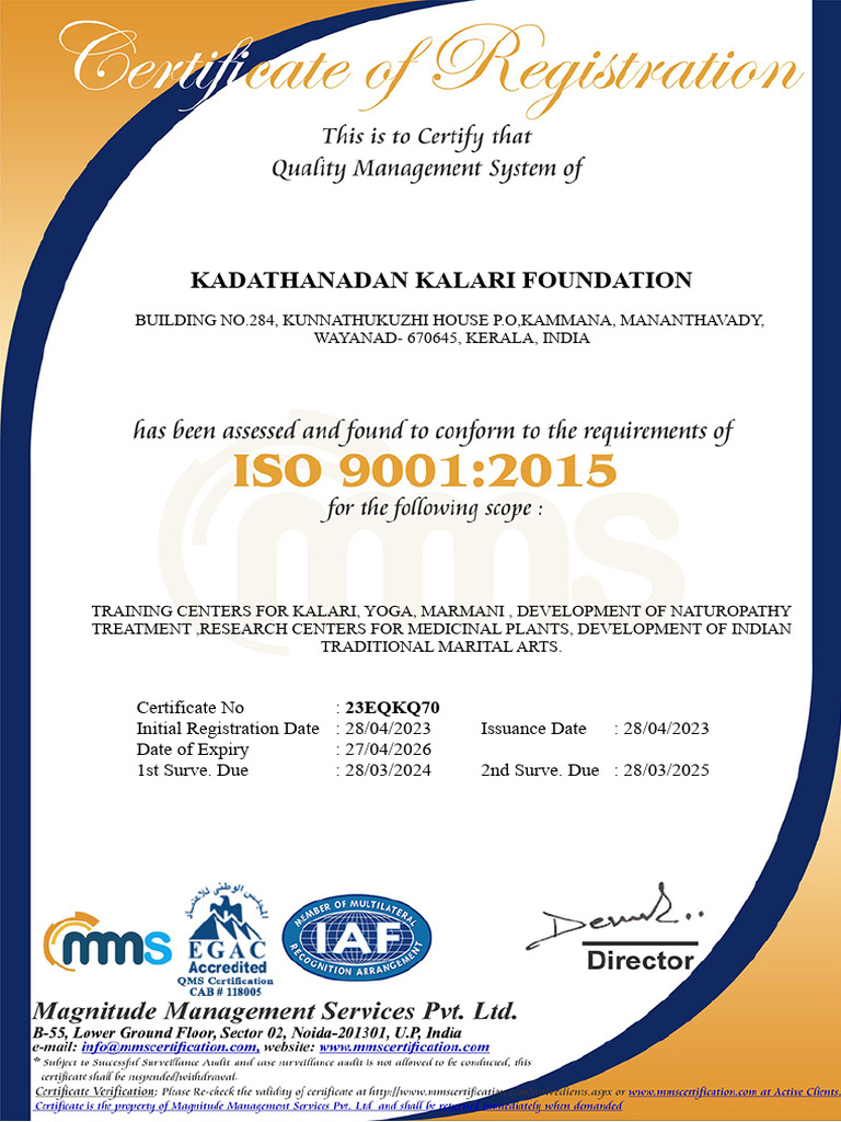 Iso 90012015 | PDF