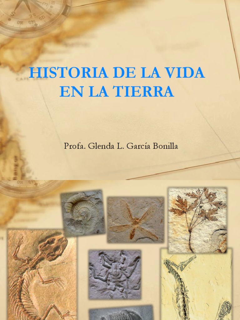 Historia de La Vida en La Tierra | PDF | Hominidae | Fósil