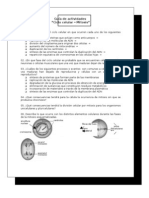 2º - Guía de Estudio Mitosis (VG)